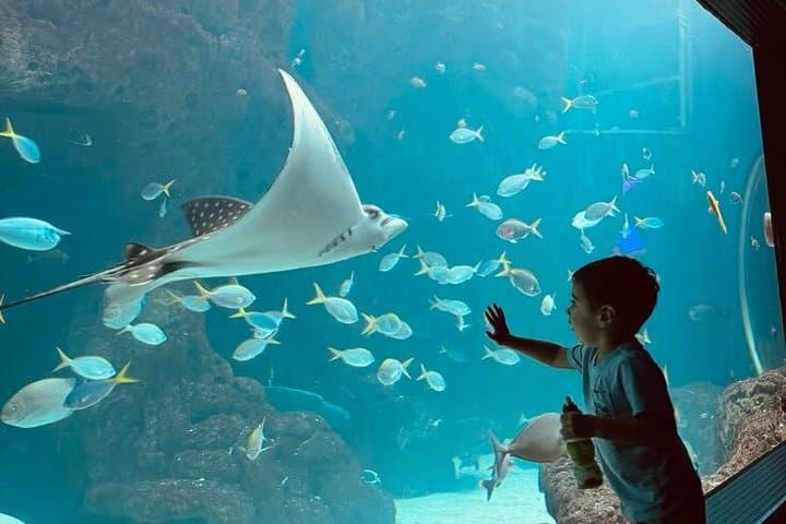 Aquarium de Paris Entry Ticket