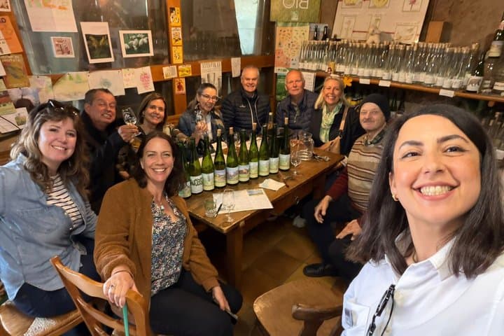 Alsace Wine Route Small Group Half-Day Tour with Tasting from Strasbourg