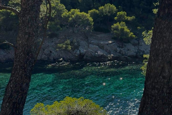 Private Full-Day Calanques Tour: St-Cyr to Cassis