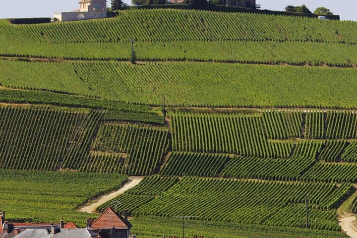 Private Day Tour From Paris to The Champagne Region and Reims