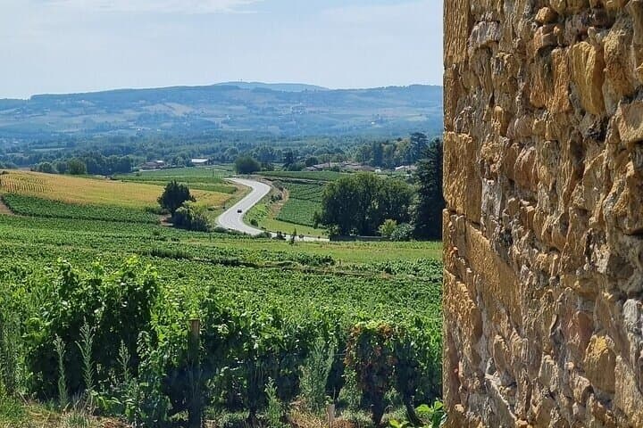 Beaujolais Wine Tour Golden Stones