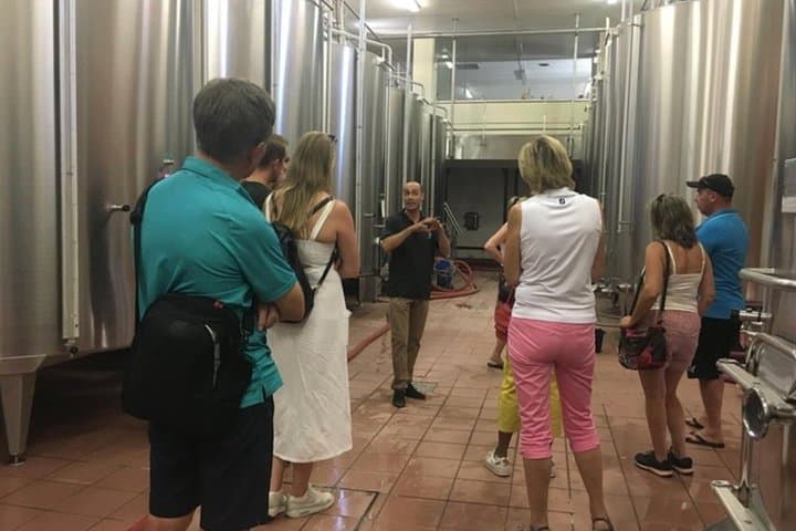 Private Half-Day Languedoc Wine Tour from Cap d'Agde