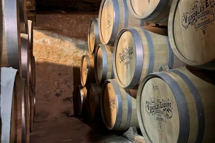 Visit and Tasting, Discovery, Wine tasting