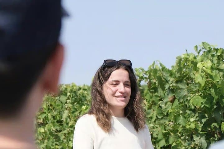 Visit and Tasting, Discovery, Wine tasting