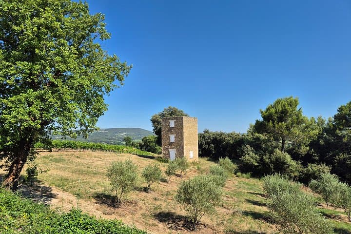 The Living Vines Guided Tour and Organic Wine Tasting