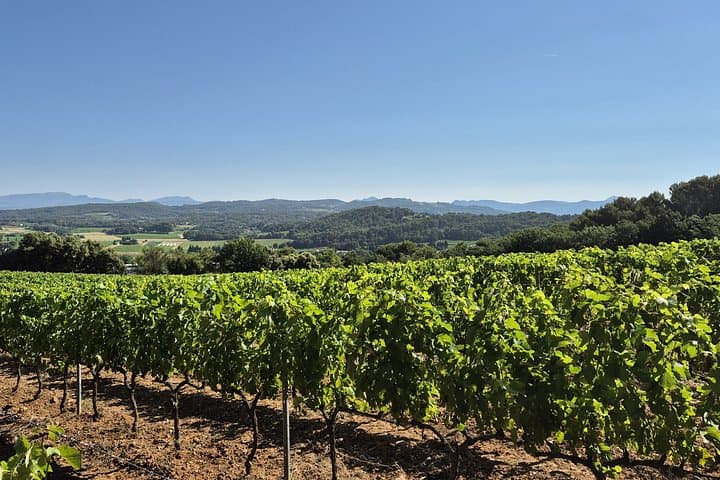 The Living Vines Guided Tour and Organic Wine Tasting