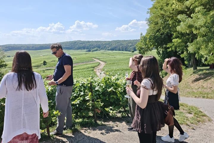Champagne Day Trip from Paris with 7 Tastings Prestigious Houses