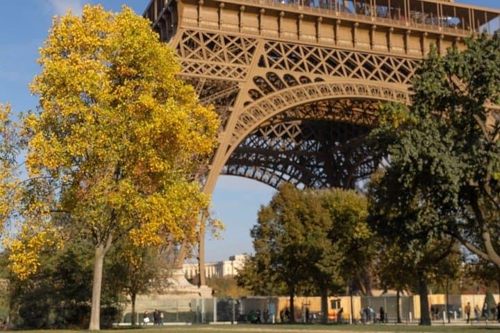 Luxurious French Picnic Experience in Paris