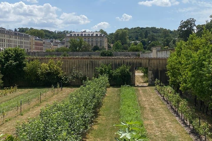 Versailles differently - Private off-the-beaten-path tour
