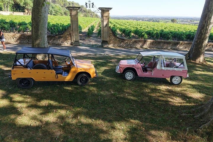 Wine Route of Châteauneuf du Pape in Méhari or 2CV