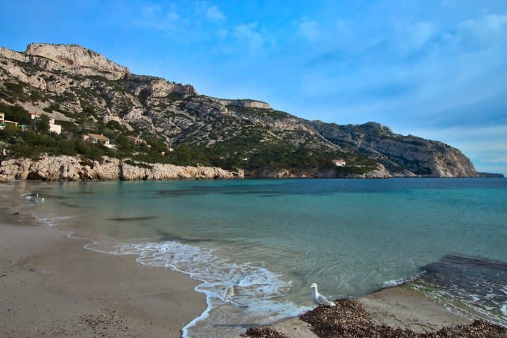 Marseille Small Group Cassis and Aix Sightseeing Tour