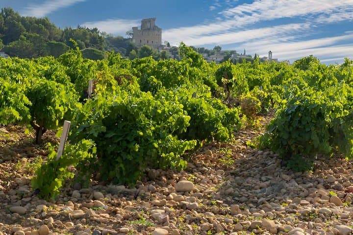 Inside Châteauneuf-du-Pape: A Wine Experience