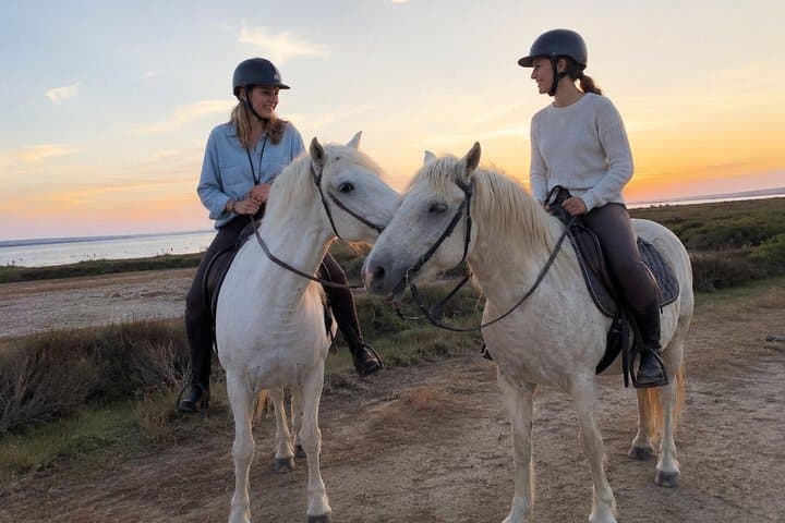 Scenic Horseback Ride Through the Camargue