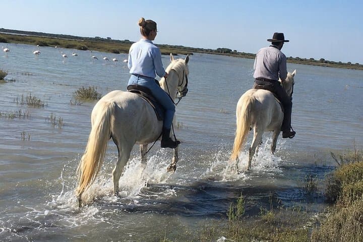 Scenic Horseback Ride Through the Camargue