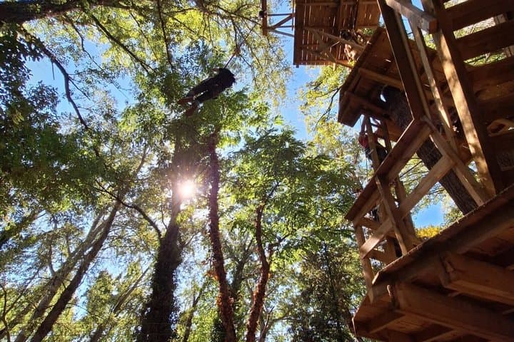 Tree top Adventure in Toulouse
