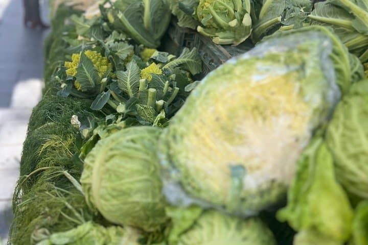Food Tour in Nice's Libération Market with Local Tastings