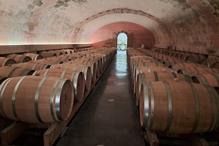 Introduction to Loire Anjou Wines Afternoon Wine Tasting Tour
