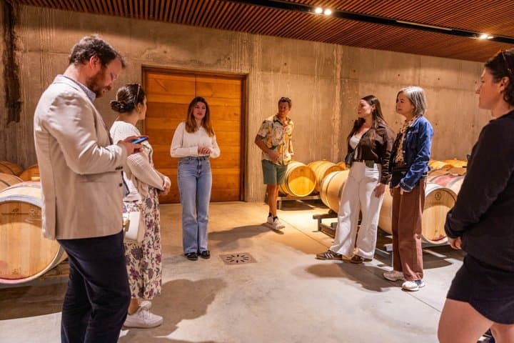 Bordeaux Full Day Wine Tour - 3 Wineries & Gourmet Picnic Lunch