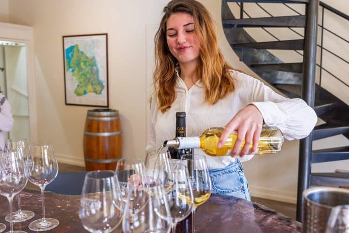 Bordeaux Full Day Wine Tour - 3 Wineries & Gourmet Picnic Lunch