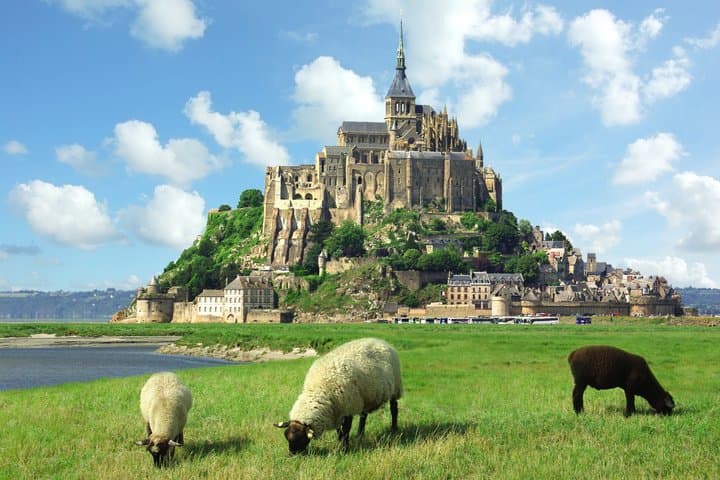 Private guided tour in Paris Etretat and Mont St Michel