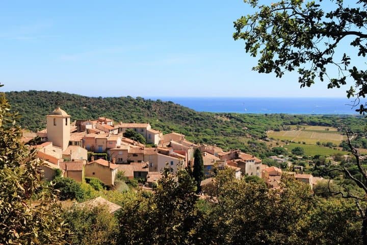 Saint Tropez and Port Grimaud Private Tour from Nice