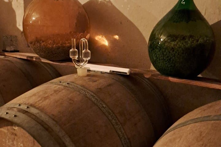 Anjou Chateau and Wine Discovery Full day
