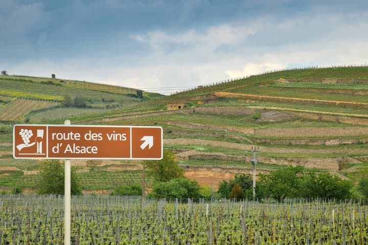 Local Craftsman Guide Vineyard Tour and 6 Orschwihr Wines