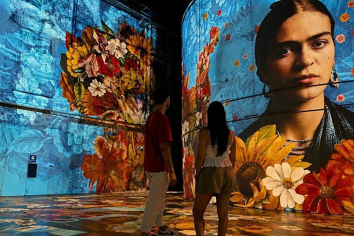 Bordeaux City Pass, Unlimited public transport & 20 attractions