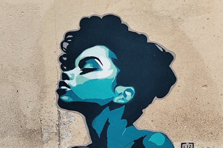 Street Art Montpellier: Unusual Guided Tour