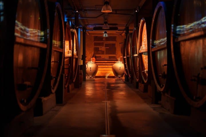 Immersive cellar tour - tasting and Alsatian brunch