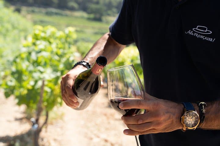 Small Group Marseille Shore Excursion : Avignon & Chateauneuf du Pape Wine Tour