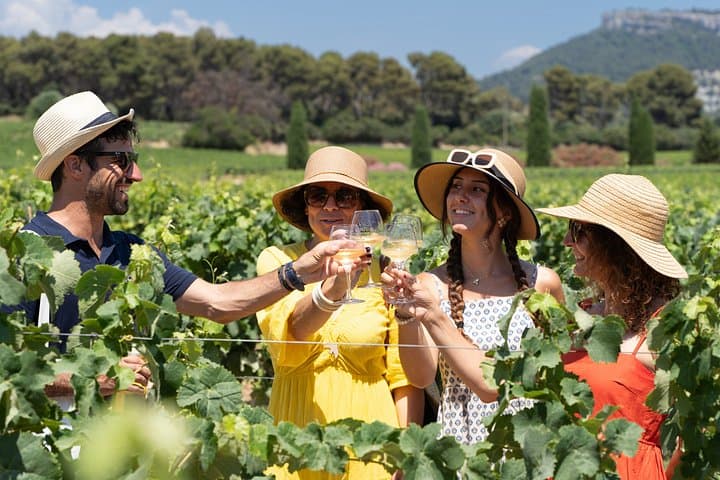 Marseille Highlights & Wine Tasting Day Tour from Marseille