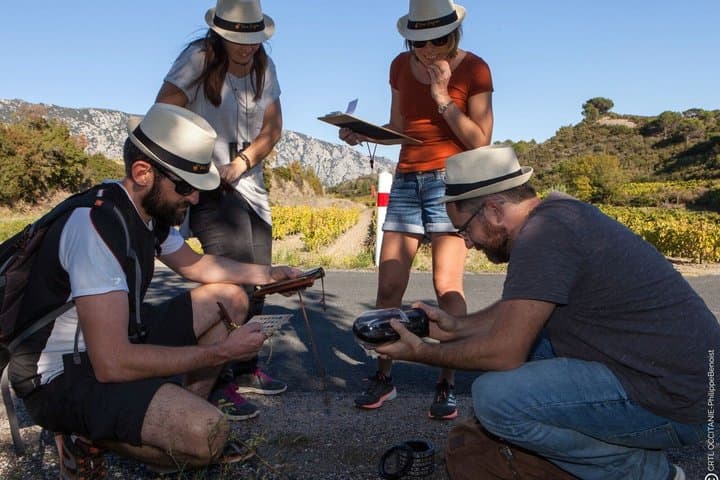 Escape Game in the vineyards