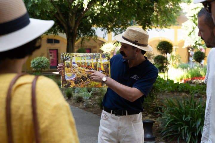 In the footsteps of Van Gogh in Provence from Avignon