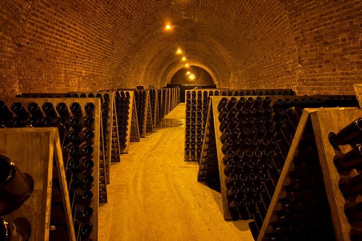 First steps in Champagne Guided tour by van and tastings
