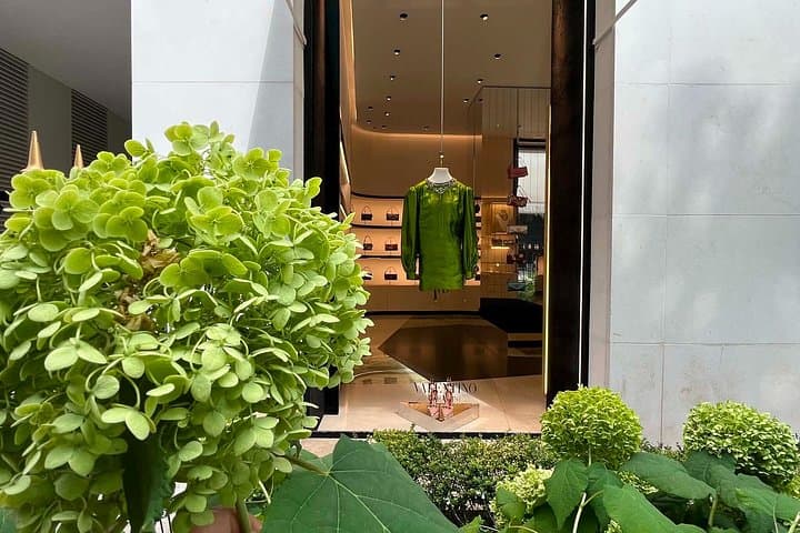 Paris in Style: Fashion Then & Now