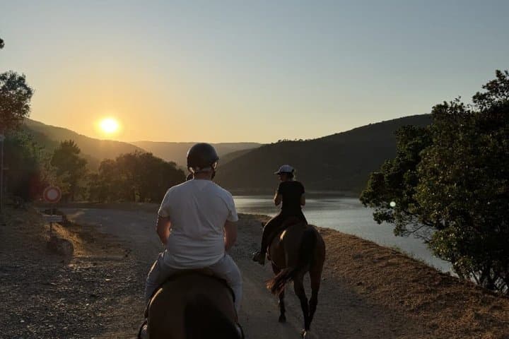 From St. Tropez: Explore La Môle on Horseback with Shared Group