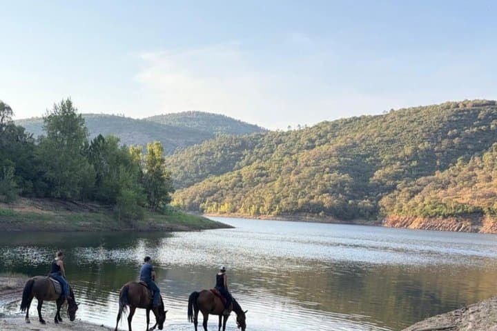 From St. Tropez: Explore La Môle on Horseback with Shared Group