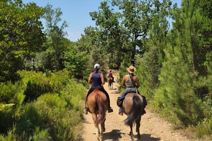 From St. Tropez: Explore La Môle on Horseback with Shared Group