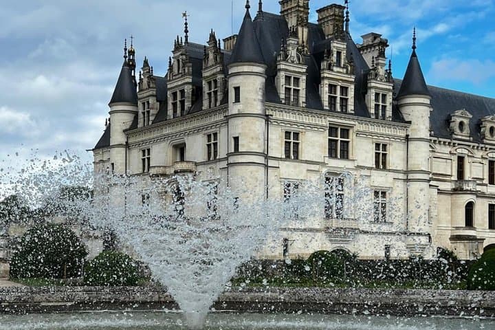 Private guided tour 3 castles of the Loire and wine tasting