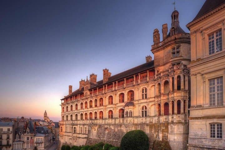 Private guided tour 3 castles of the Loire and wine tasting
