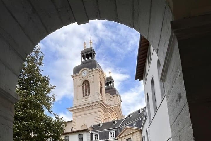 Lyon Chic City Center Guided Walking Tour with a Lyonnaise