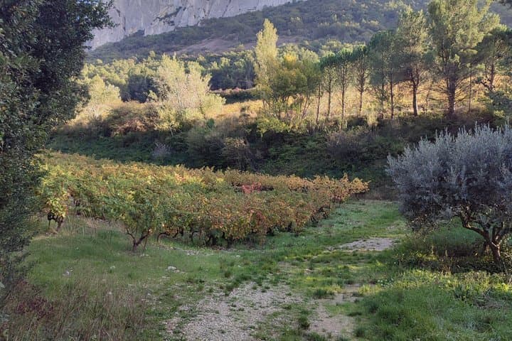 Drôme Côtes du Rhône Grignan Day Geology Terroir Wine