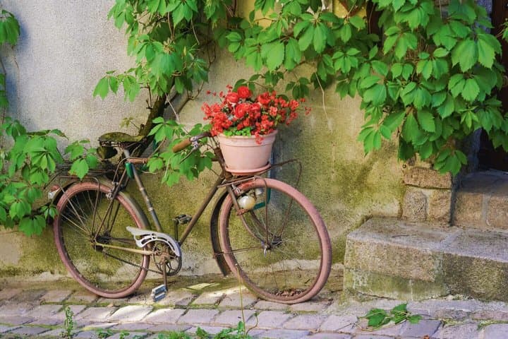 Hello Poitiers: Private 2-Hour Intro City Walk with Local Guide