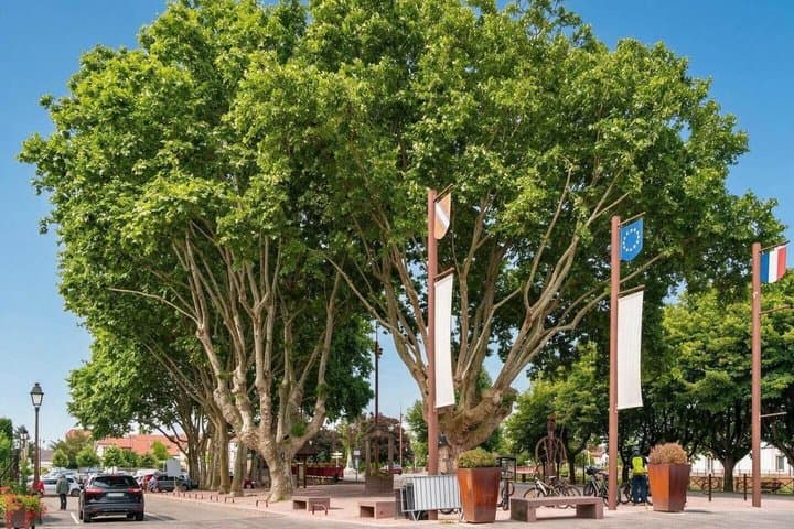 Hello Poitiers: Private 2-Hour Intro City Walk with Local Guide