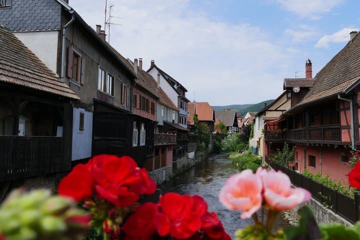 From Colmar half-day tour of Alsatian villages and wine