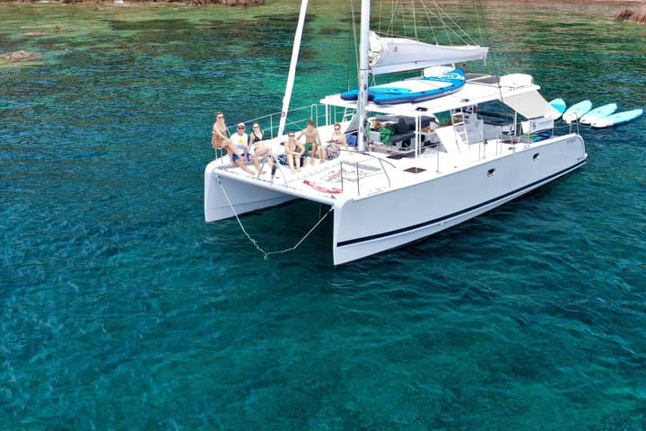 Half-day catamaran tour with paddleboarding