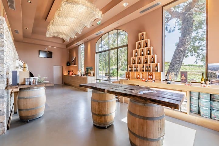 Guided tour and discovery of our wines