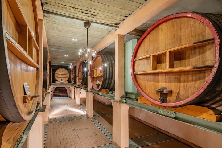 Guided tour and discovery of our wines