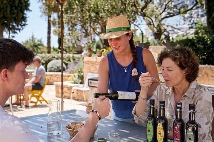 Saint-Rémy, Les Baux + olive oil tasting and the Pont du Gard